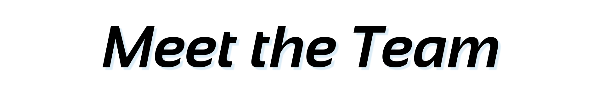 Meet the Team